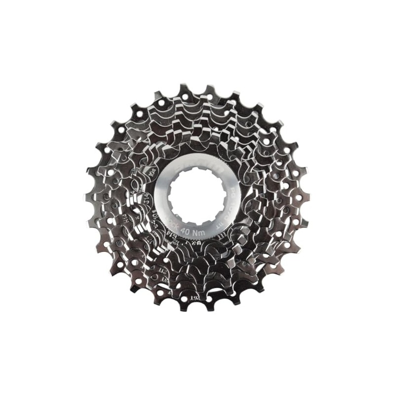 Sram PG 1070 10-Speed Cassette silver Size:Option 3
