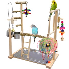 Bird Playground,Parrot Playstand Bird Toys,Parakeet Perch Stand Gym Set with Swing Ladder Feeder Cups Cockatiel Ladder,Parrot Cage Accessories for Parakeets Cockatiels Lovebirds Conure Budgies