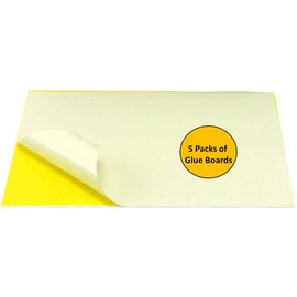 Awoco 5 Packs of Replacement Sticky Glue Boards for 36 W Wall Mount Sticky Fly Trap Lamp for Capturing Flying Insects, Flies, Mosquitoes, and Moths (5 Glue Boards)