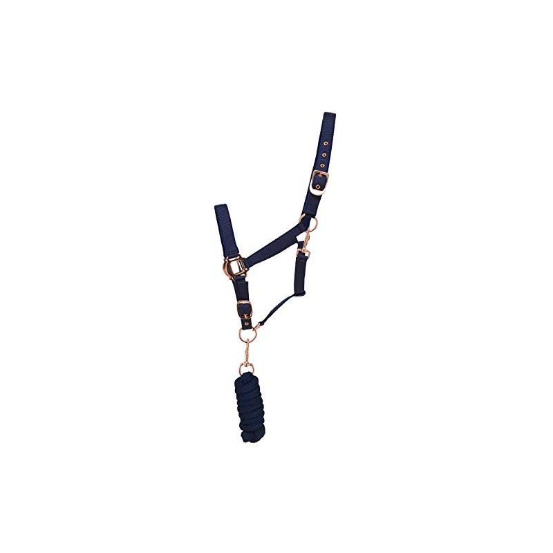 Y-H HY Rose Gold Lead Rope & Head Collar Full