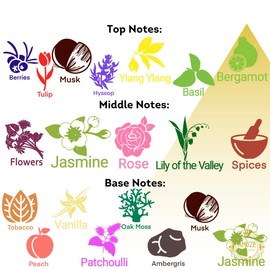 Amuze Fragrance Passion, 6 ml | Premium Perfume Oil | Attar Oil | Alcohol-Free | Vegan & Cruelty-Free