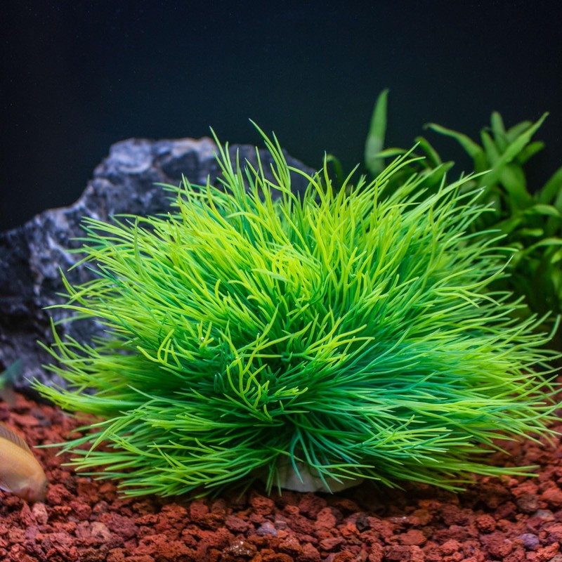 TAOMYPETS Fish Tank Decorations Aquarium Plants Plastic Artificial Décor (Light