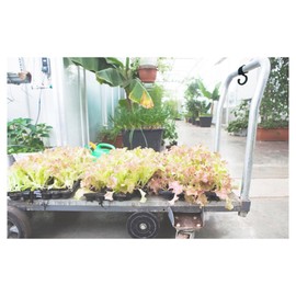 nissatyein Em APPLE Hook Fixed Type Black A – 1023 