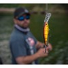 Berkley Bad Shad - Anzuelo de Pesca, Spring Craw, 7