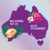 Aussie Repair And Revive Shampoo and Deep Conditioner Treatment Hair