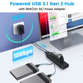Rosonway Concentrador USB con alimentación, 10 Puertos USB 3.1/3.2 Gen 2 Hub 10Gbps con Adaptador de Corriente de 36W (12V/3A), Cables Tipo A y Tipo C, Divisor de Aluminio USB C para PC y portátil