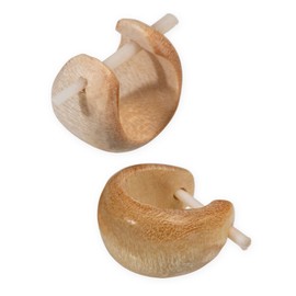 Fly Style® – 1 Pair – Small Creole Earrings Made from Different Woods, C