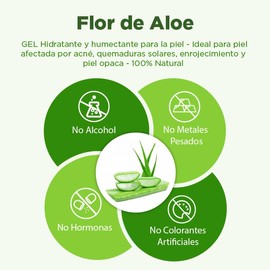 Flor de Aloe GEL Hidratante y humectante para la piel - Ideal para piel afectada por acné, quemaduras solares, enrojecimiento y piel opaca - 100% Natural. 200 gr.