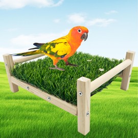 FlidRunest Bird Foraging Bed, Parrot Hammock Bed, Parrot Grass Perch Bed, Bird Perch Conure Platform Grass Forage Toy for Parakeet, Parrot, Cockatiel, Lovebird, Budgie, green