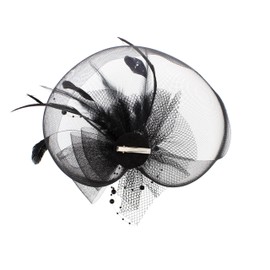 Zac's Alter Ego Lace & Net Fascinator with Feathers on Clip