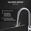HALSENX Professional 6 Inch Skinning Knife - Non-Slip SoftGrip Handle