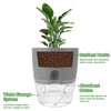 APACALI Set of 4 Herb Pots, Kitchen Set, Windowsill, Self-Watering,