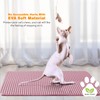 Waterproof Cat Litter Mat, Double Layer EVA, Odor-Free Large Grid,