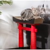 Whefory Retractable Cat Teaser Wand Toy, Cat Toys for Indoor
