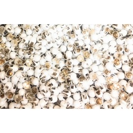 150 Nailheads ,Spots , Studs, WHITE Size 2/16" (3.5mm) with 7 Facets; 4 Prong in plastic container