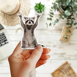 Raccoon Decal, Raccoon gifts for women,men Sticker Decal, Christian Sticker, Rear View Mirror Decal, Faith Car Mirror Decal,