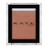 KATE The Eye Color 049 Pearl, Terracotta Brown, Do it