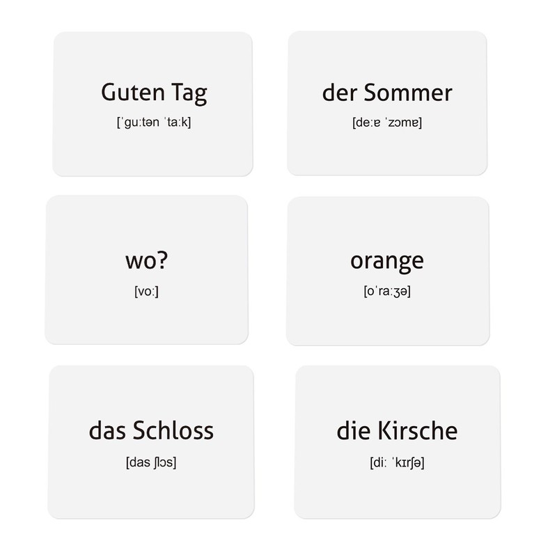 CARDDIA German Vocabulary Flashcards for Beginners (with Vivid Pictures and