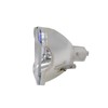 azurano Replacement Projector Lamp for Sony LMP-H210