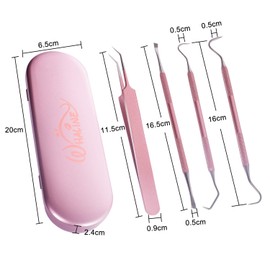 Whaline Weeding Vinyl Tools 4 Pieces Precision Stainless Steel Weeder Tool with Case, Vinyl Craft Paper Craft Tool Kit for Silhouettes Cameos, Lettering Scraper Hook Spatula Tweezers