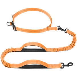 iYoShop Retractable Hands Free Dog Leash - Dual Handle Bungee Waist Leash for Small, Medium and Large Dogs (Medium/Large, 25-150 lbs, Orange)