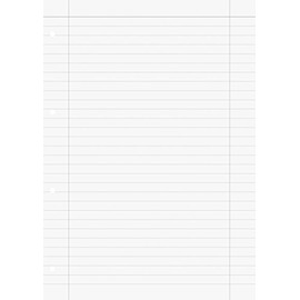 Brunnen 1066947 Ring Binder Inserts A4 Ruled with Margin Lines, Type 27 Ruling, 100 Sheets, 70 g/m², White