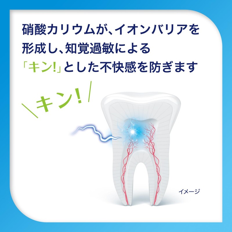 シュミテクト ムシ歯ケア 【医薬部外品】歯磨き粉 知覚過敏ケア 高濃度フッ素配合〈1450ppm〉95g 4本