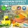 NEVISS (2 Pack) Organic Hémp Balm 10000 MG - 2