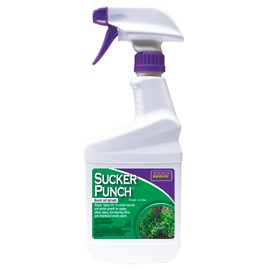 Bonide Sucker Punch, 16 oz Ready-to-Use Spray, Control Unwanted Plant Sprouts, Plant Growth Regulator for Home Garden