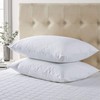 Waterproof Pillow Protector 2 Piece Set - Standard, Zippered Encasement,