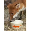 Keith Brymer Jones Collaboration Range - Scion Living Bowl Mr