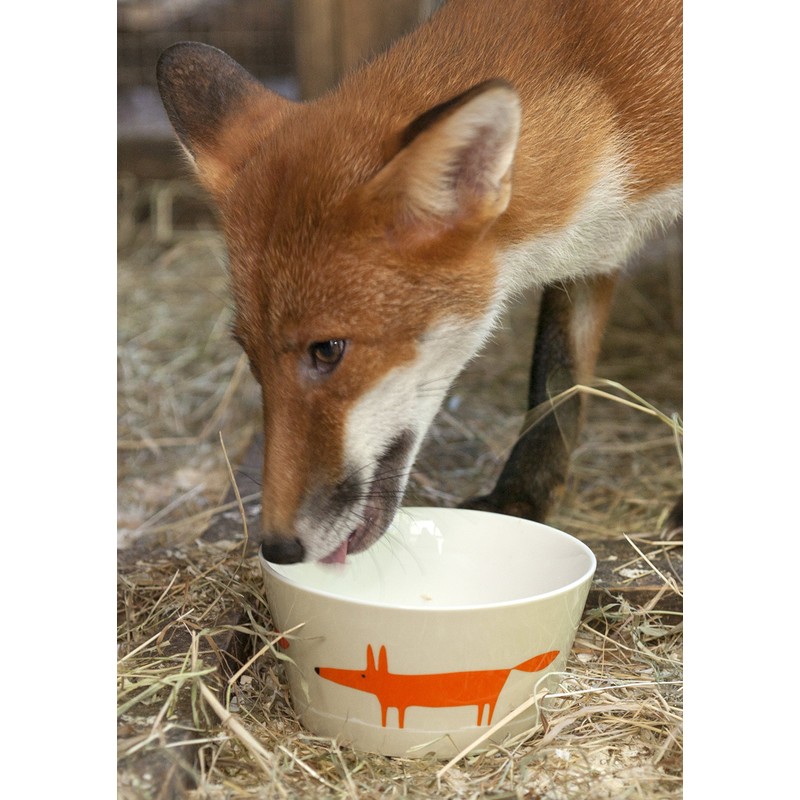 Keith Brymer Jones Collaboration Range - Scion Living Bowl Mr