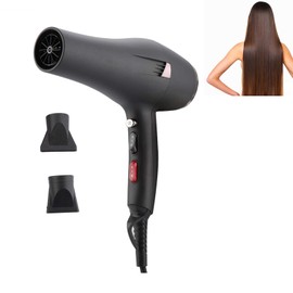 yuyte Secador De Pelo Profesional 2000W, Negative Ionico Y Temperatura Constante, con 2 Boquillas(Negro)