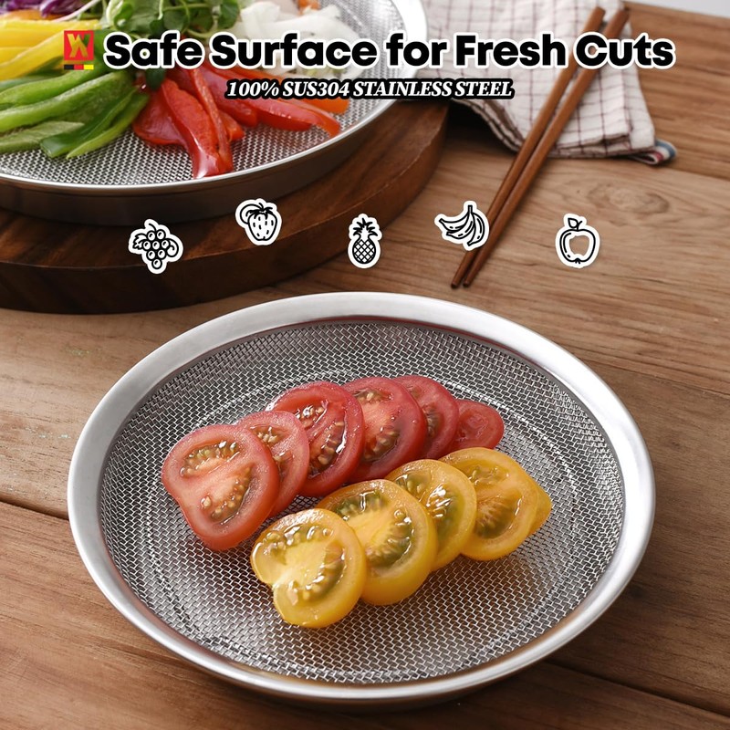 WAGENSTEIGER Stainless Steel Mesh Tray Set with Drip Pan, Air