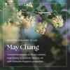 Nikura | May Chang Essential Oil - 100ml - 100%