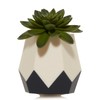 Yankee Candle Succulent Diffuser