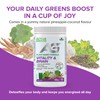 Active Green Pro - Vitality & Brain Powder, Blend of