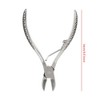 Joyzan Piglet Teeth Cutter Stainless Steel Pig Tooth Nipper Piglets