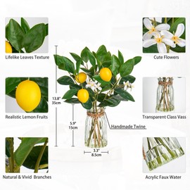 Oairse Artificial Plant Lemon