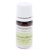 Pranarom Jasmine 5ml (Chemo Type Essential Oil)