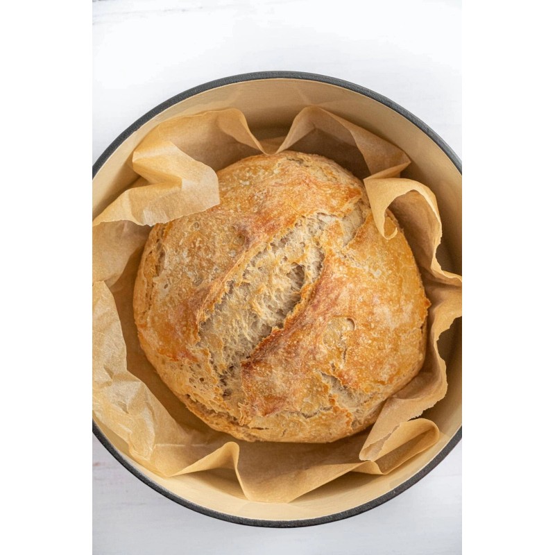 Heritage Sour San Francisco Sourdough Starter Dehydrated Active 200+ YRS