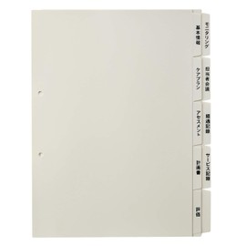 Plus Nursing Care Index 5 x 2, A4, 2 Holes, For User Medical Records, 98-078 x 3 Sets