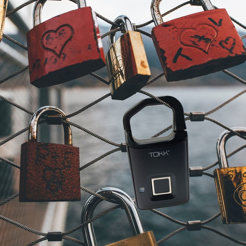 Pred Technologies USA Fingerprint Travel Lock, Silver (PL4)