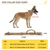 G-raphy Tactical Dog Collar Training Nylon Dog Collar Adjustable with