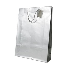 JAM PAPER Gift Bags with Rope Handles - X-Large - 12 1/2 x 17 x 6 - Silver Glossy - Sold Individually