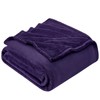 EHEYCIGA Fleece Blanket Throws for Sofas Fluffy Warm Soft Blanket