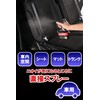 カーメイト 車用 除菌消臭剤 ドクターデオ Dr.DEO プレミアム スプレー型 無香 安定化二酸化塩素 250ml