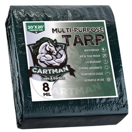 CARTMAN Finished Size 20x20 Feet Waterproof Green Tarp 8 Mil Thick, Multipurpose Protective Cover for Emergency Rain Shelter Camping Tarpaulin