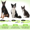 VIVAGLORY Short Dog Lead 24" Brilliant Yellow