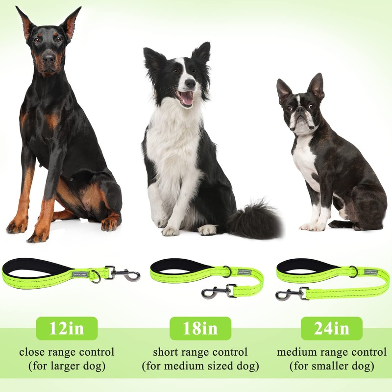 VIVAGLORY Short Dog Lead 24" Brilliant Yellow
